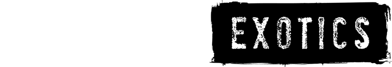 A WordPress Site